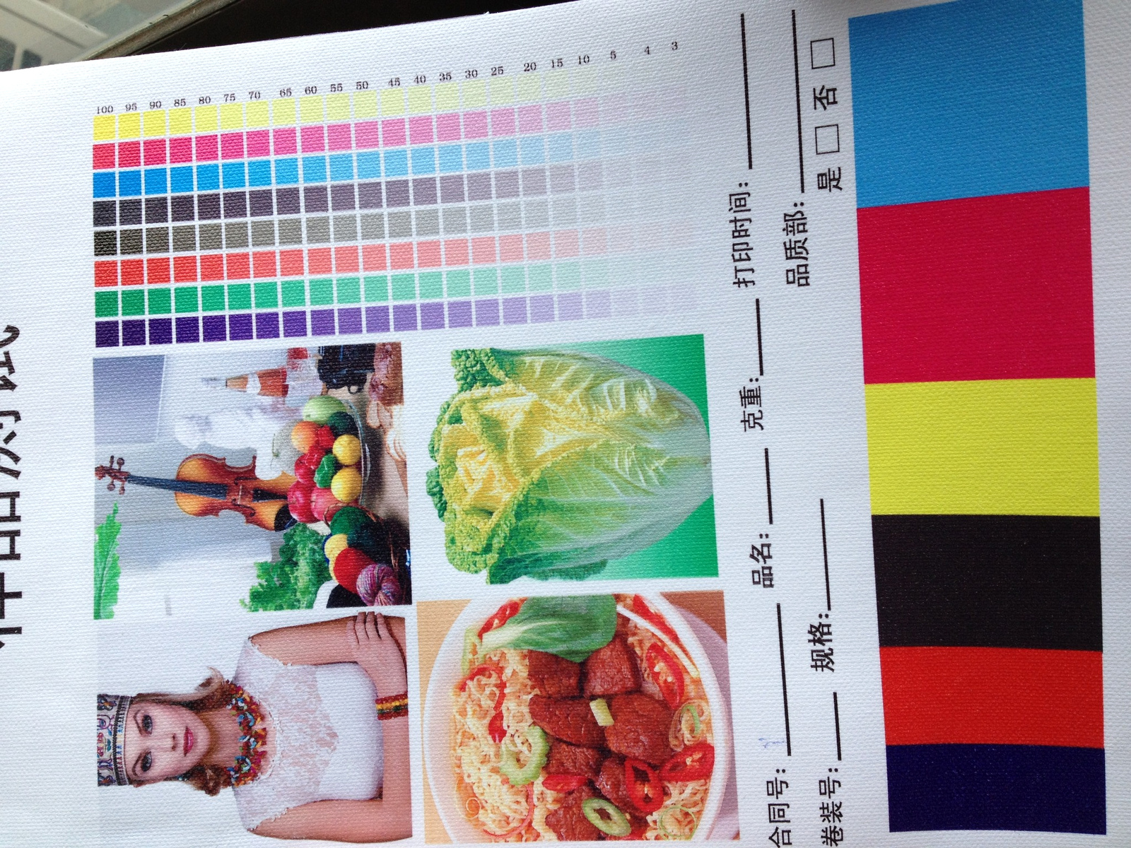Eco-solvent printable canvas color reproduction and print quality test
