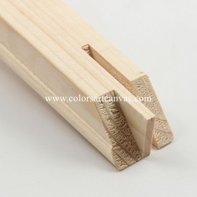 Gallery Stretcher Bars and polyester photo canvas