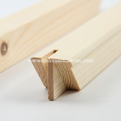 Canvas Prints Stretcher Bars-photo Mugs